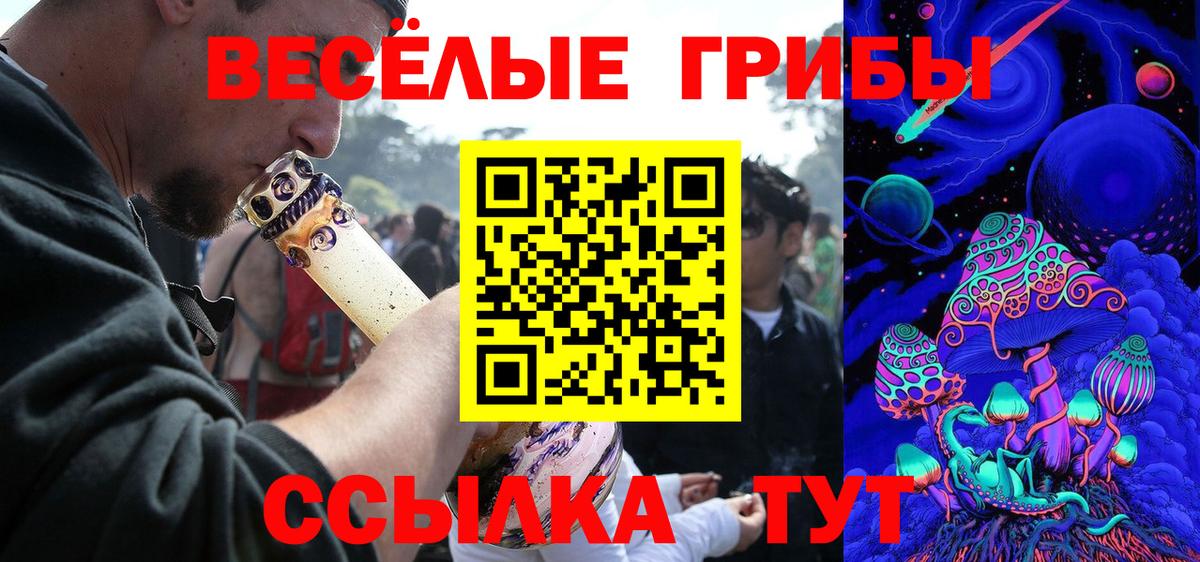 Егорьевск  Галлюциногенные грибы Psilocybine cubensis  Вход с VPN 